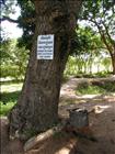 22 Phnom Penh